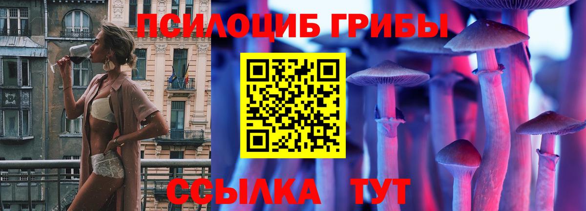 Соль-Илецк  Псилоцибиновые грибы прущие грибы  Галлюциногенные грибы GOLDEN TEACHER  Вход с VPN 